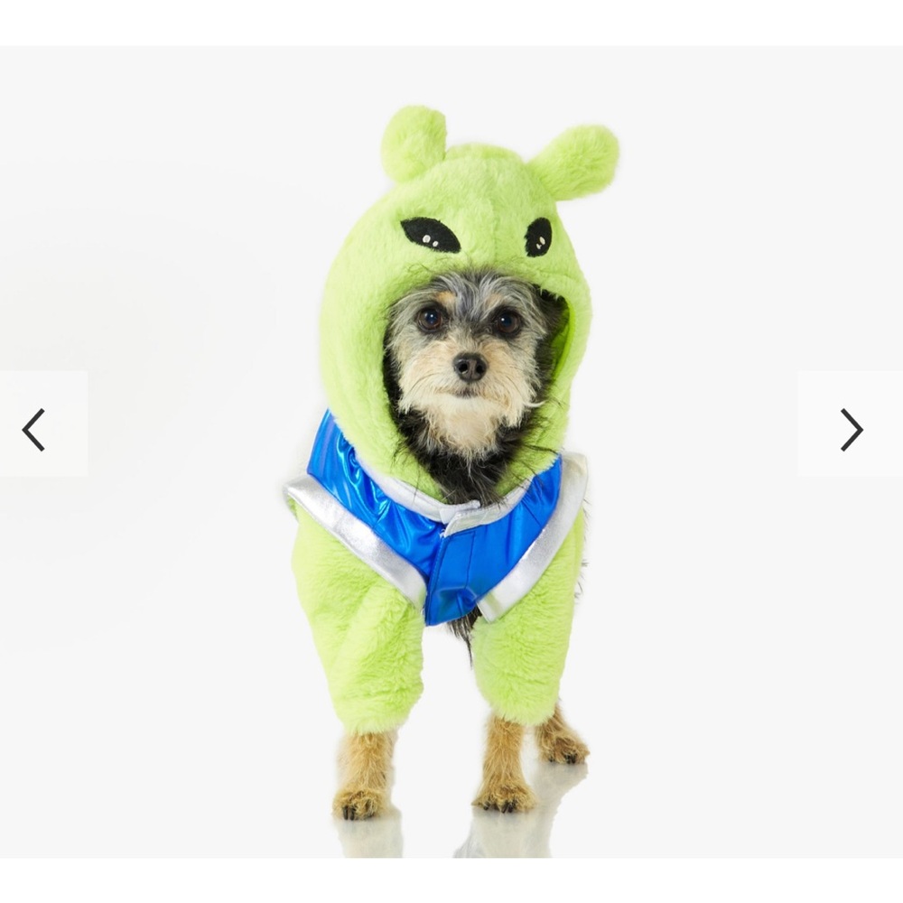 Pottery Barn Kids Neon Green and Blue Dog Hoodie
